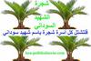 hoa-politicalscene.com/sudanese-martyrs-day-comments.html - The #dynamic_idea of the #Sudanese_Martyrs_Tree is by #Khalid_Mohammed_Osman.