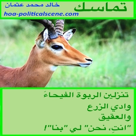 hoa-politicalscene.com/hoas-arabic-poetry.html - HOAs Arabic Poetry: Poetry scripture from "Consistency" by poet & journalist Khalid Mohamed Osman on deer species in green fields.