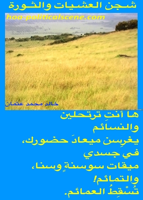 hoa-politicalscene.com/hoas-arabic-poetry.html - HOAs Arabic Poetry: Verse from "Evening Yearning & Revolution" by poet & journalist Khalid Mohamed Osman on fertile fields.