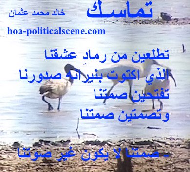 hoa-politicalscene.com - HOAs Lyrics: from "Consistency" by poet and journalist Khalid Mohammed Osman on a picture of bird species in the Dinder and Rahad garden in Sudan.