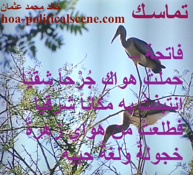 hoa-politicalscene.com - HOAs Lyrics: from "Consistency" by poet and journalist Khalid Mohammed Osman on a picture of heron bird species in the Dinder and Rahad garden in Sudan.