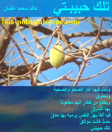 hoa-politicalscene.com - HOAs Lyrics: from "That's My Love", by poet & journalist Khalid Mohammed Osman on a picture of a baobab tree in western Sudan bearing a baobab fruit.