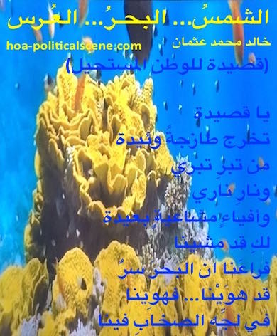 hoa-politicalscene.com - HOAs Verse: "The Sun, the Sea, the Wedding", by poet & journalist Khalid Mohammed Osman on coral reefs breathing through water and shaping in beautiful colours underseas.